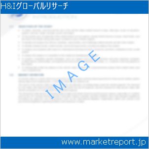 市場と産業調査レポートのイメージ